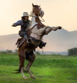 FMSIrodeo3